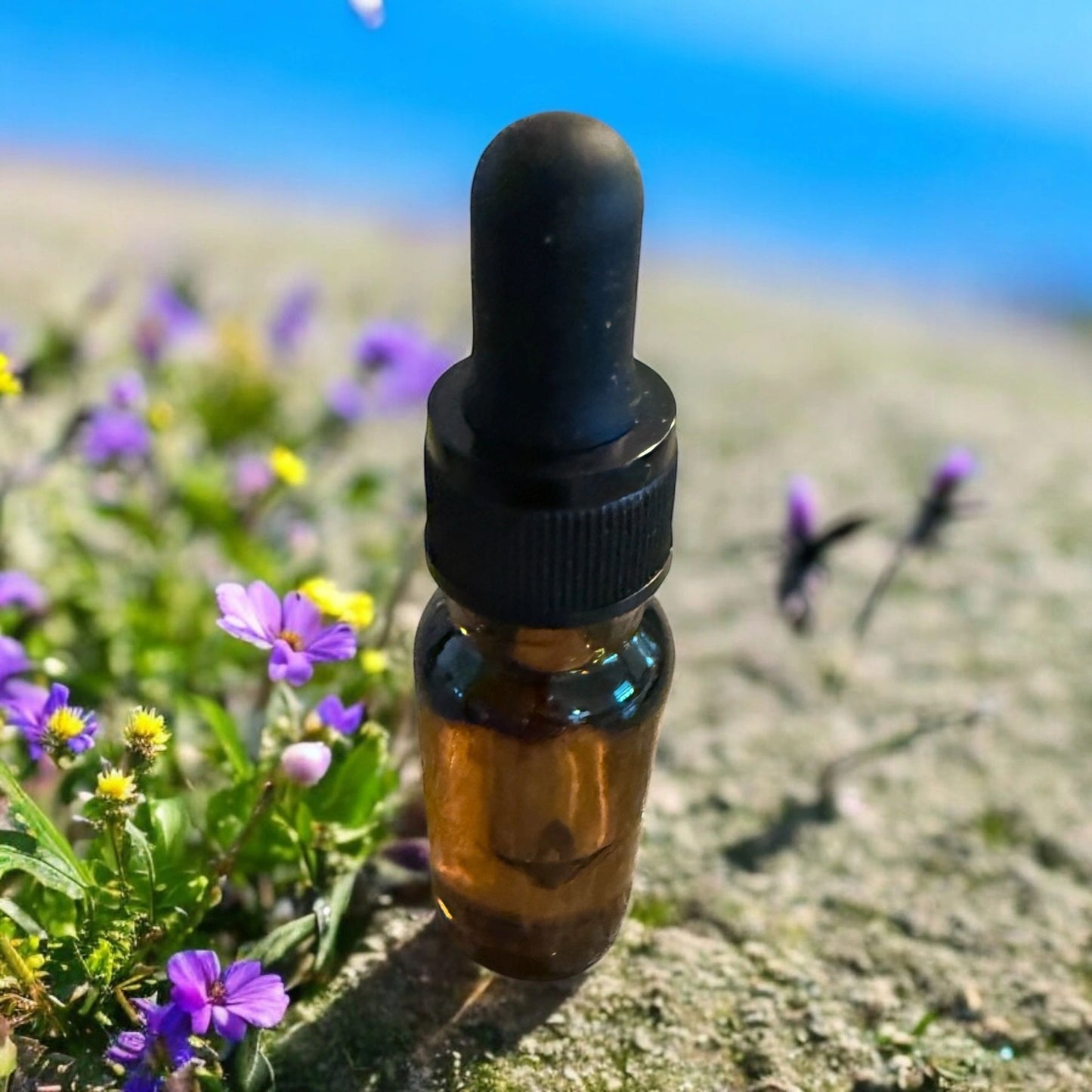 Car Freshener refills